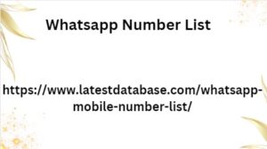 Whatsapp Number List 